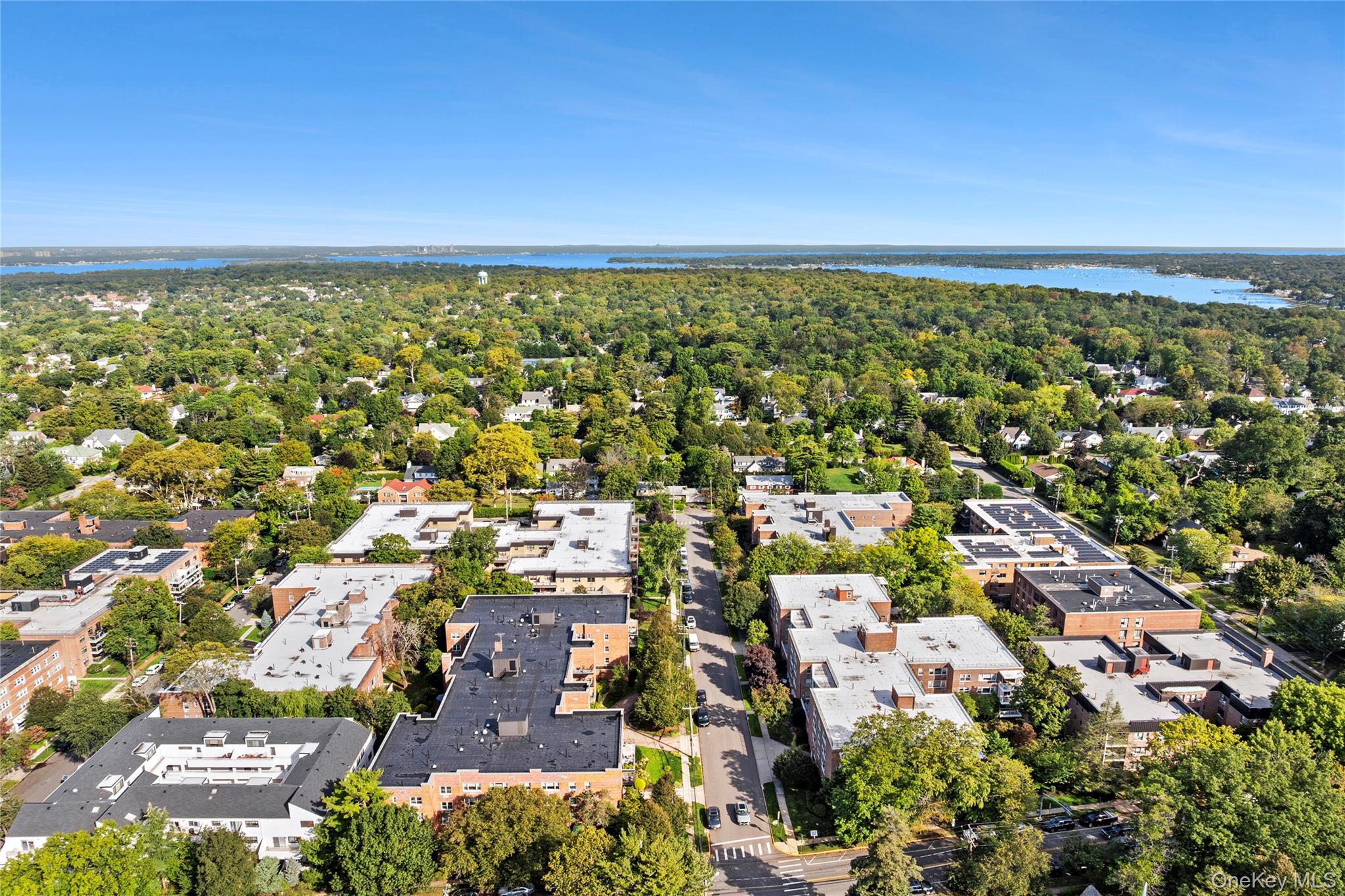 21 Chapel Place # 3M, Great Neck, NY 11021