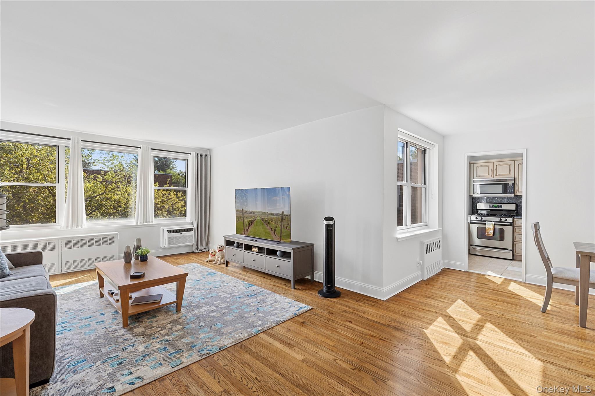 21 Chapel Place # 3M, Great Neck, NY 11021