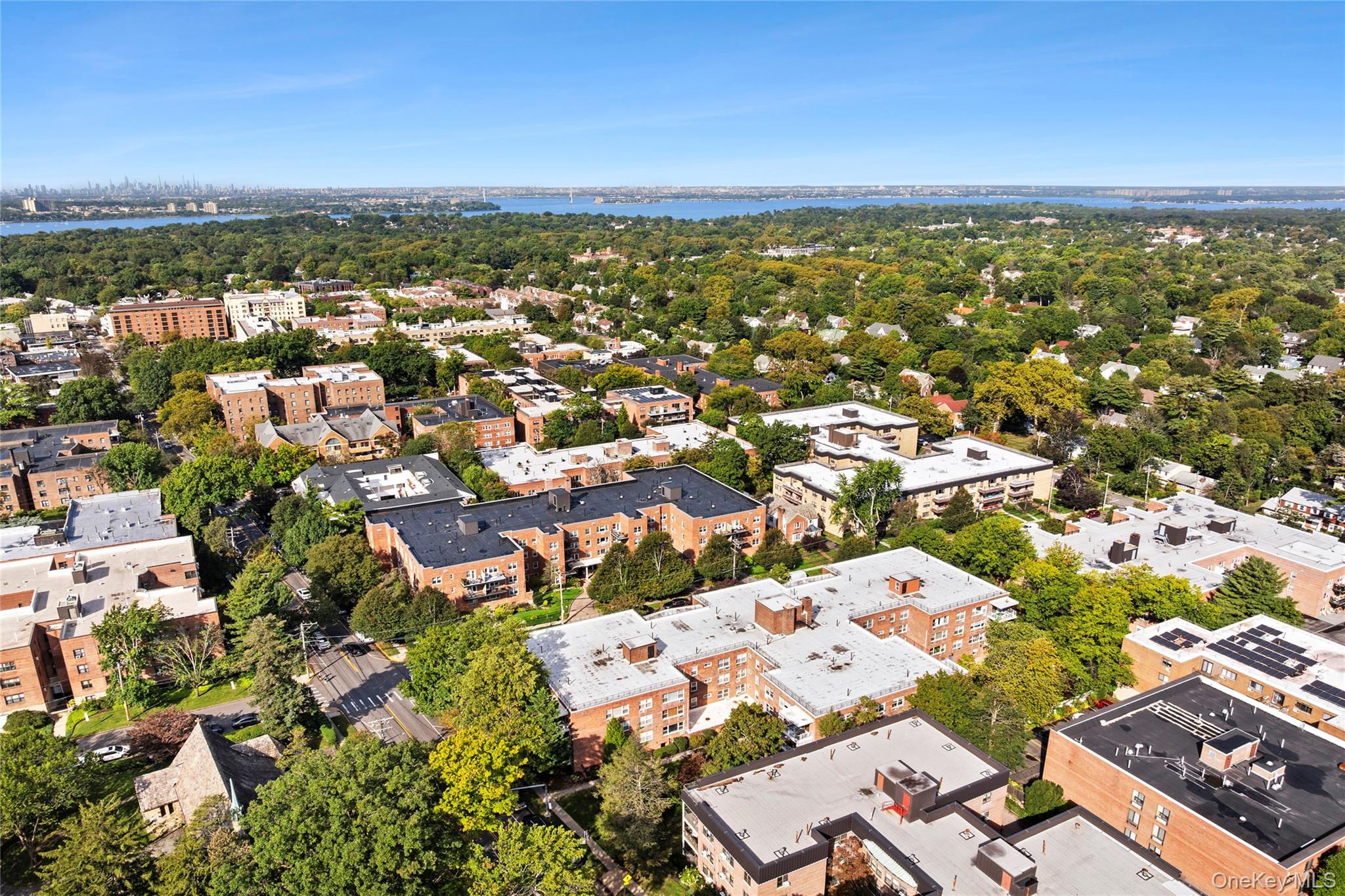 21 Chapel Place # 3M, Great Neck, NY 11021