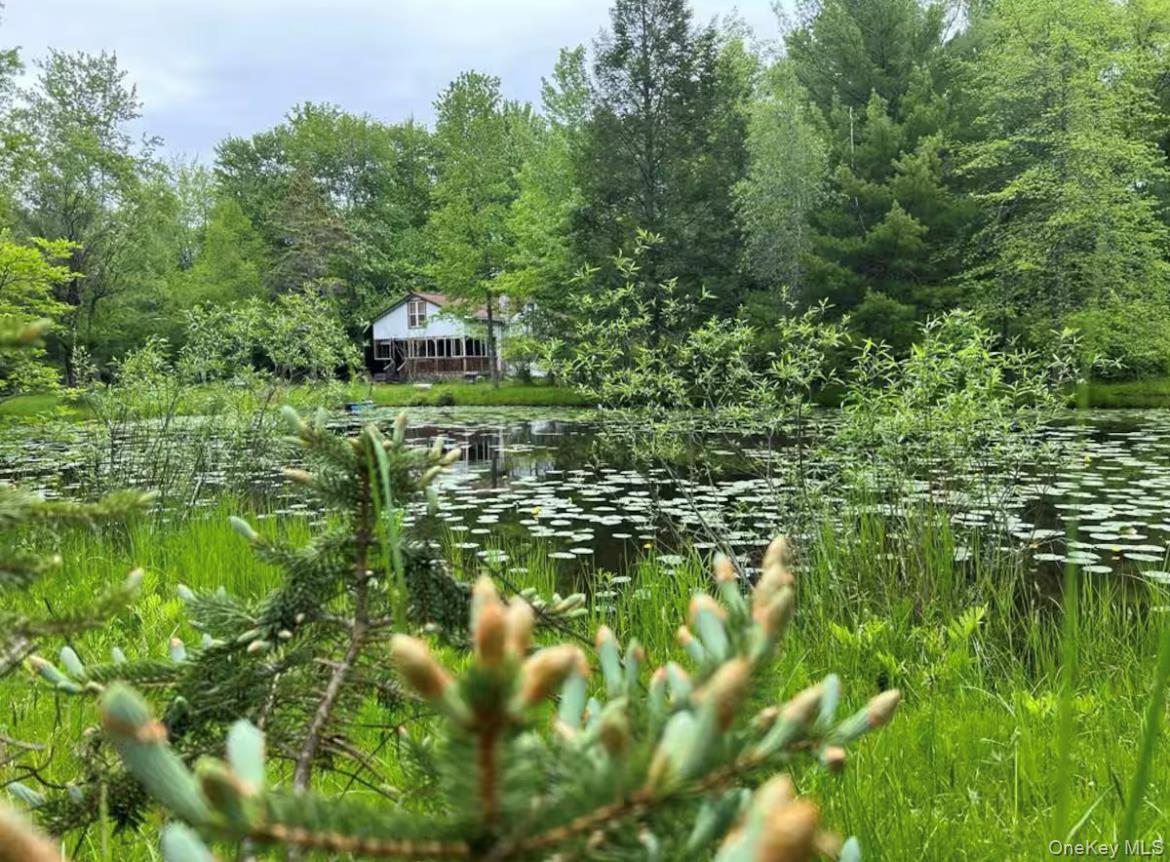 792 Briggs Highway, Ellenville, NY 12428