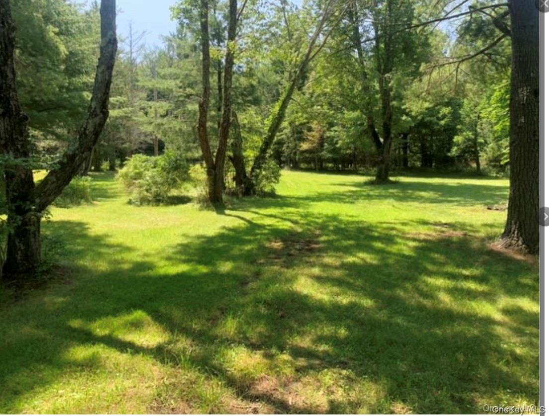 792 Briggs Highway, Ellenville, NY 12428