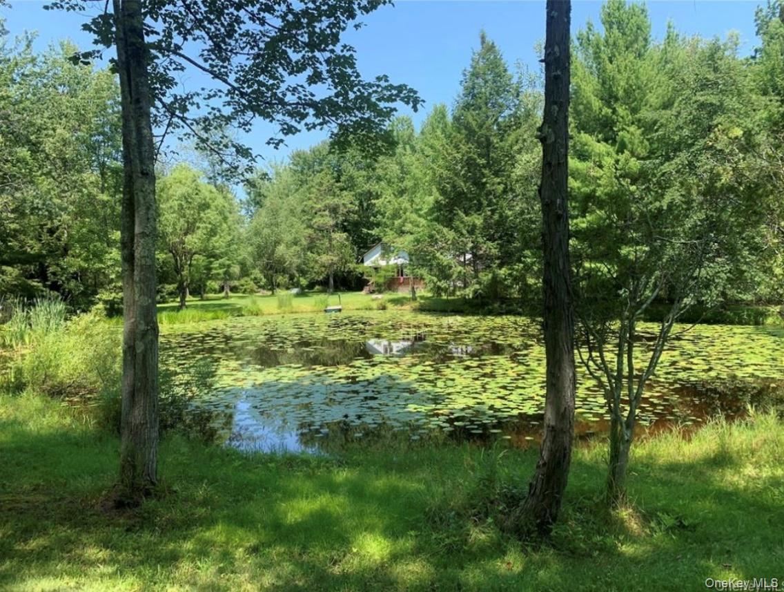 792 Briggs Highway, Ellenville, NY 12428