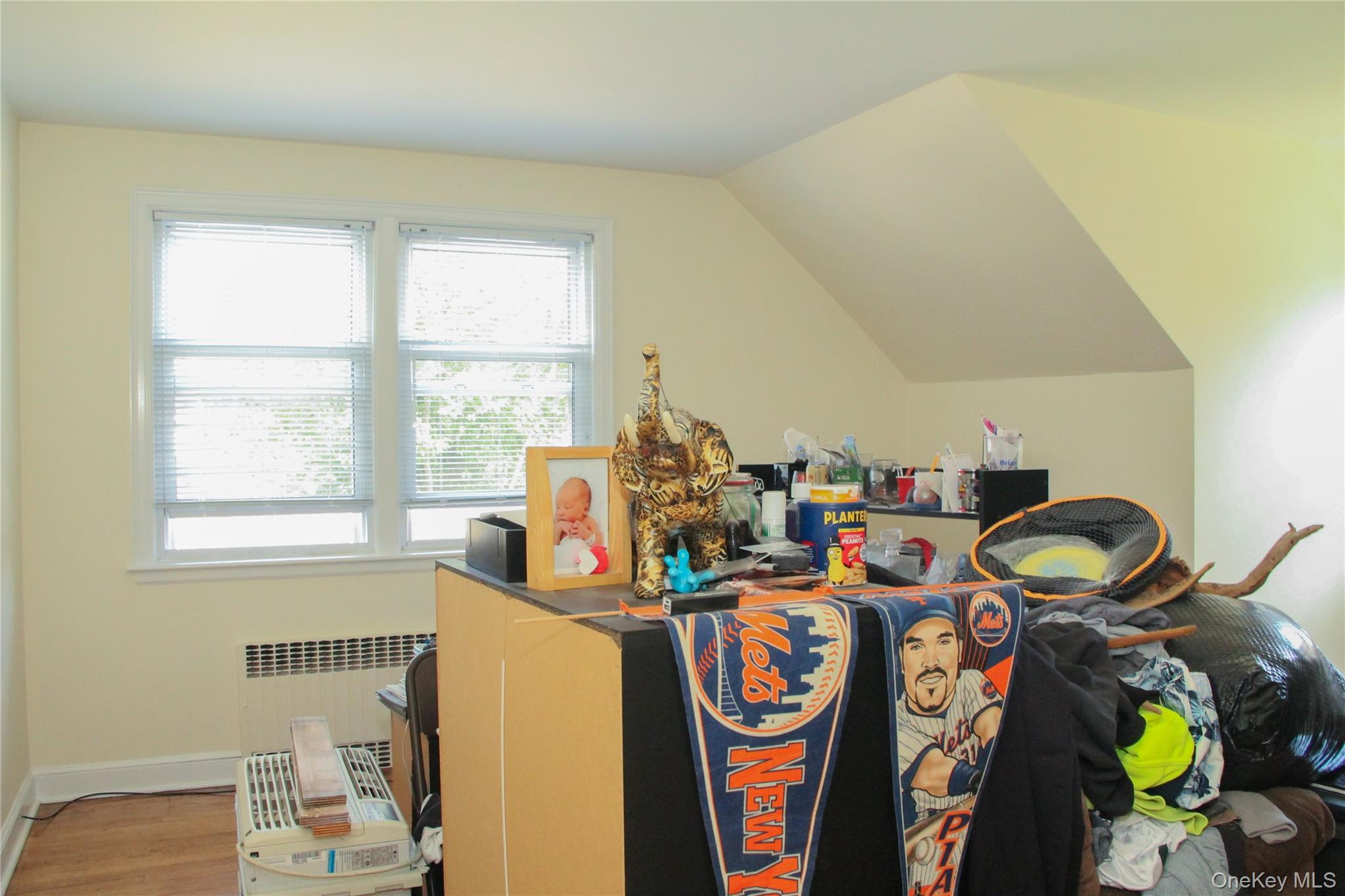 117 N Grove Street, Freeport, NY 11520