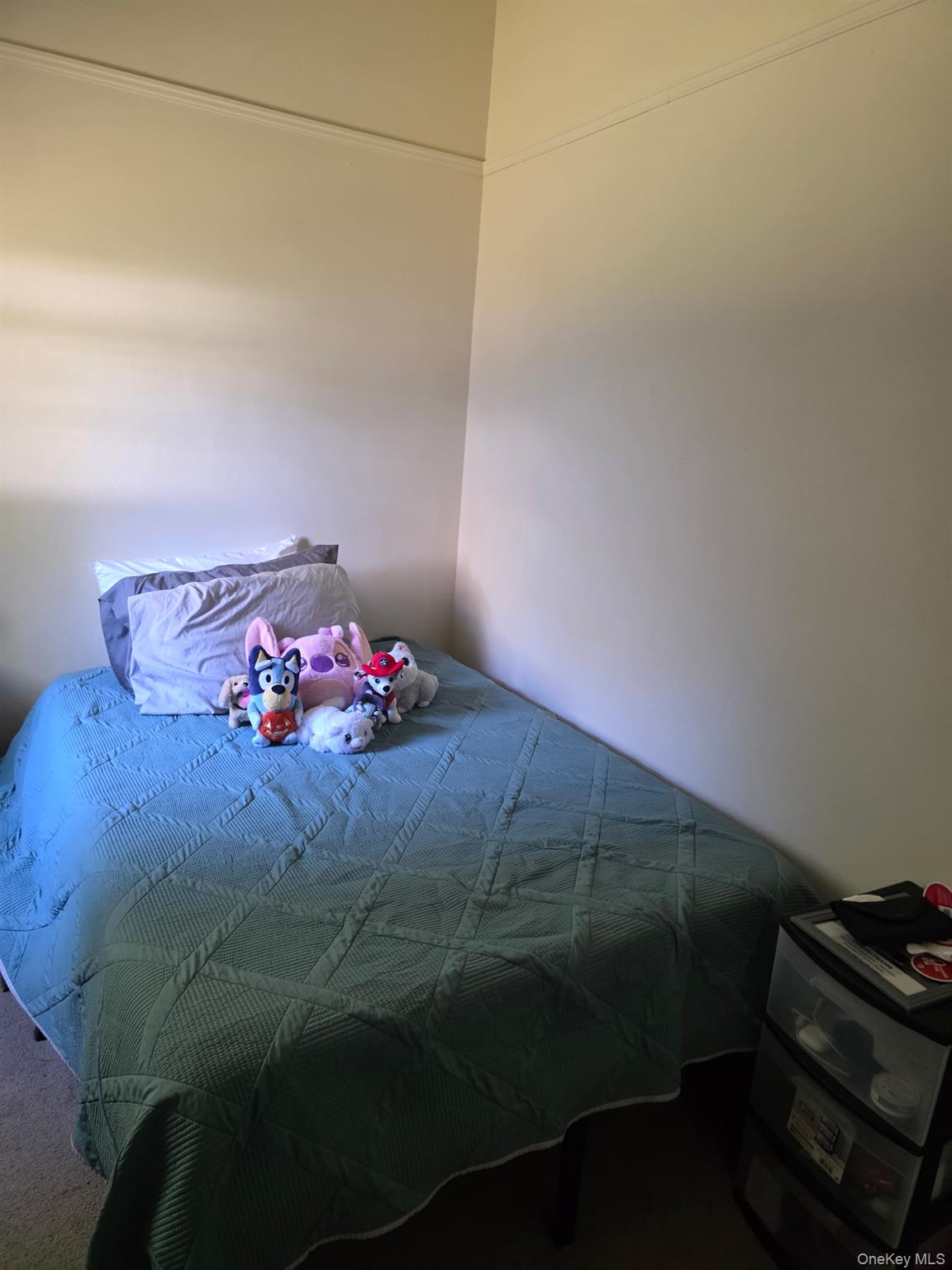 2 Pinetop Drive, Shirley, NY 11967