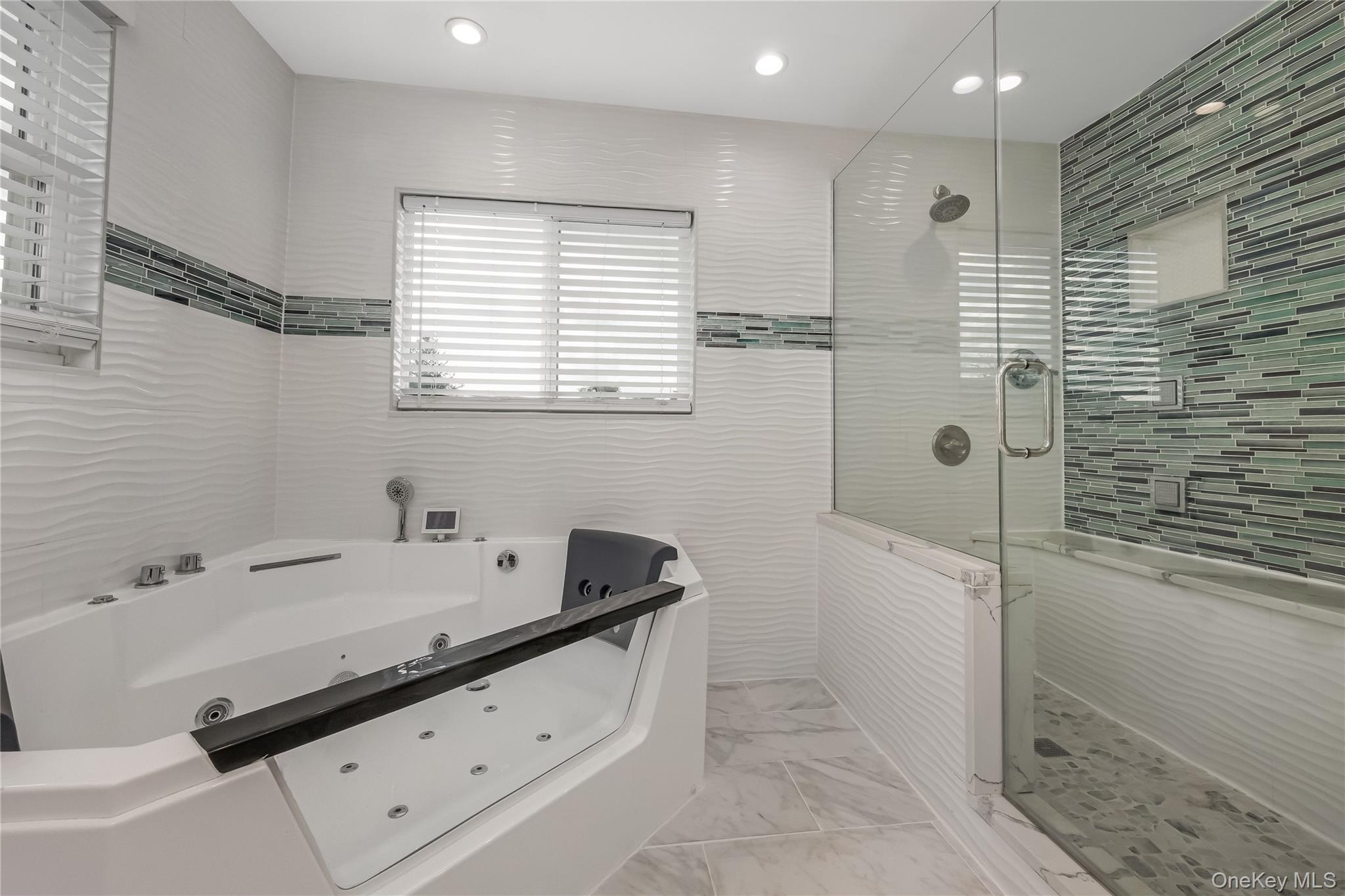 257 Biltmore Avenue, Elmont, NY 11003