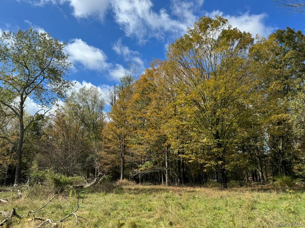 24 Old Sackett Road, Rock Hill, NY 12775