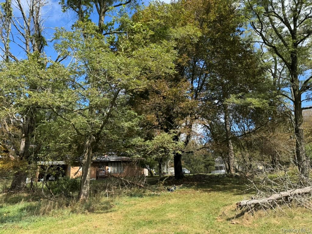 24 Old Sackett Road, Rock Hill, NY 12775