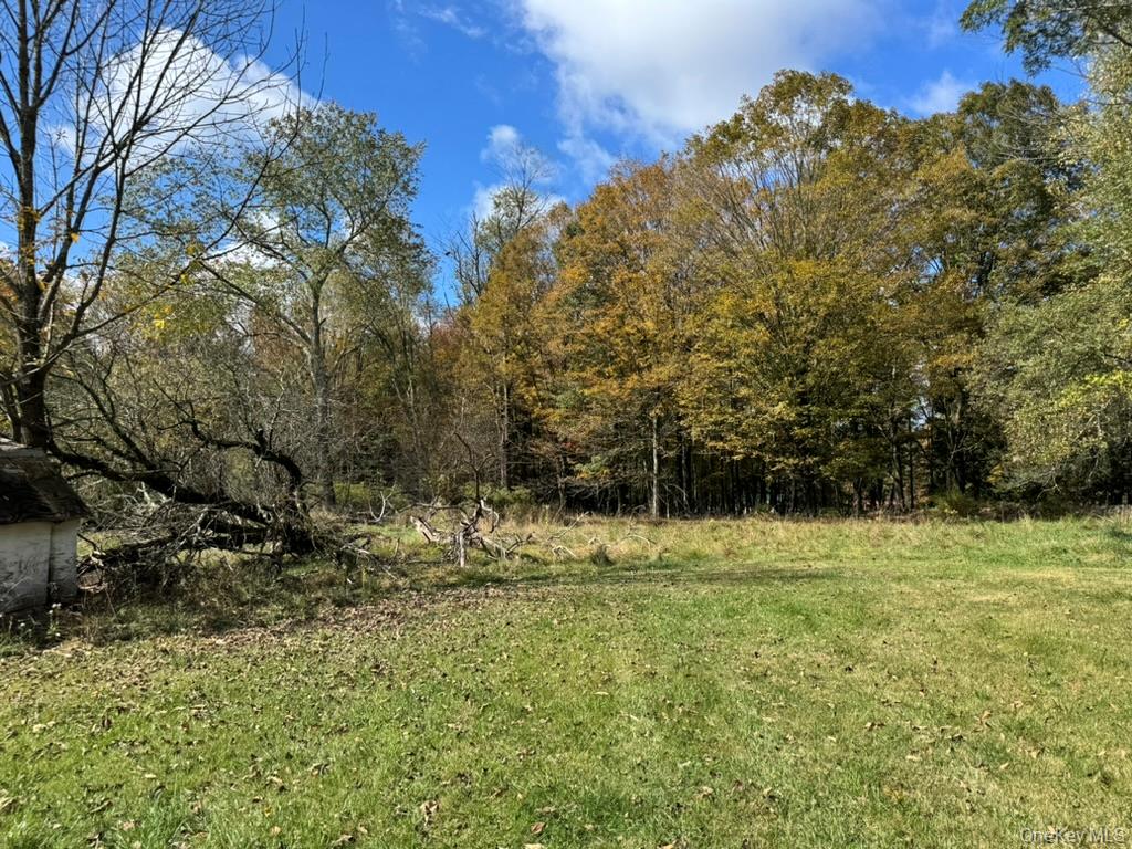 24 Old Sackett Road, Rock Hill, NY 12775