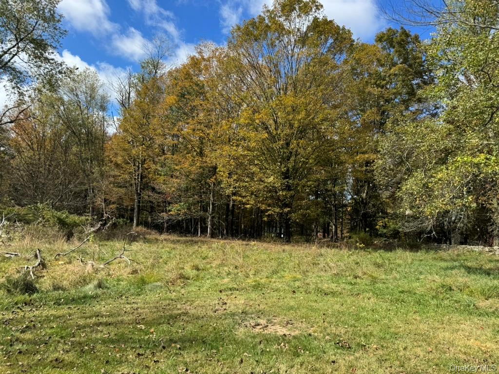 24 Old Sackett Road, Rock Hill, NY 12775