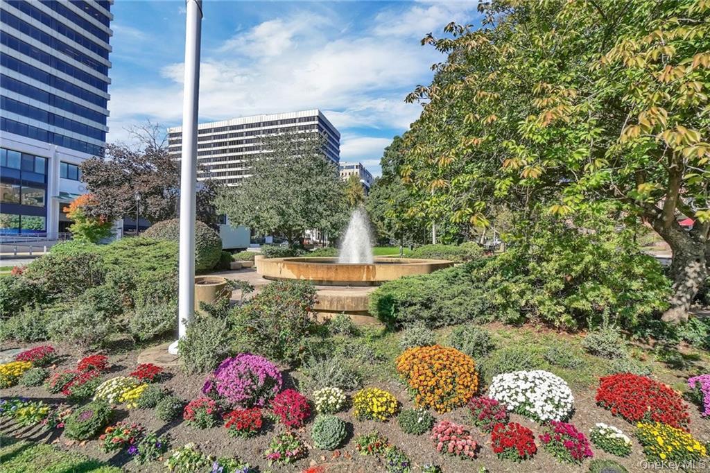 50 N Broadway # 5C, White Plains, NY 10603