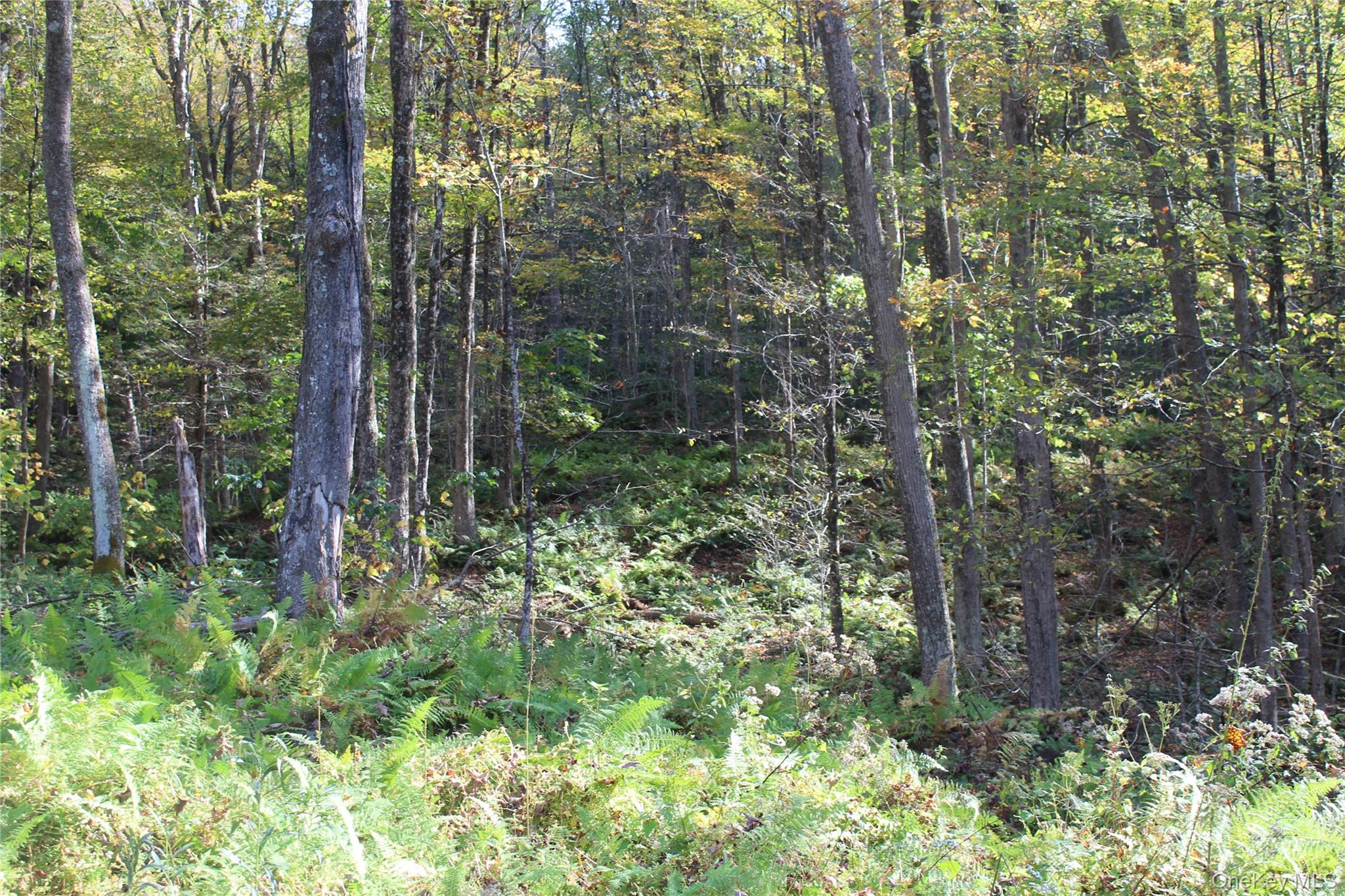 Peakville Road, Roscoe, NY 13783