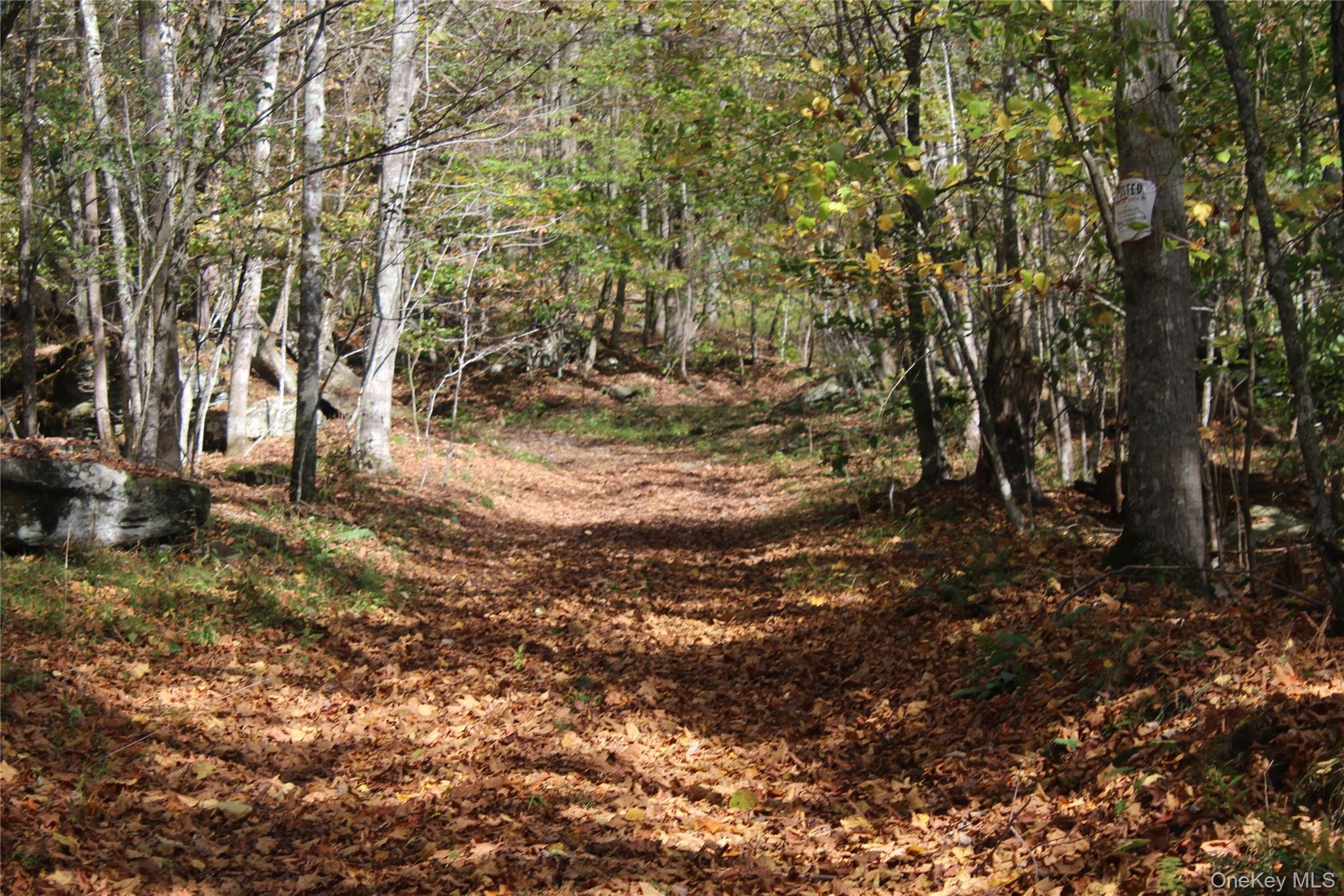 Peakville Road, Roscoe, NY 13783