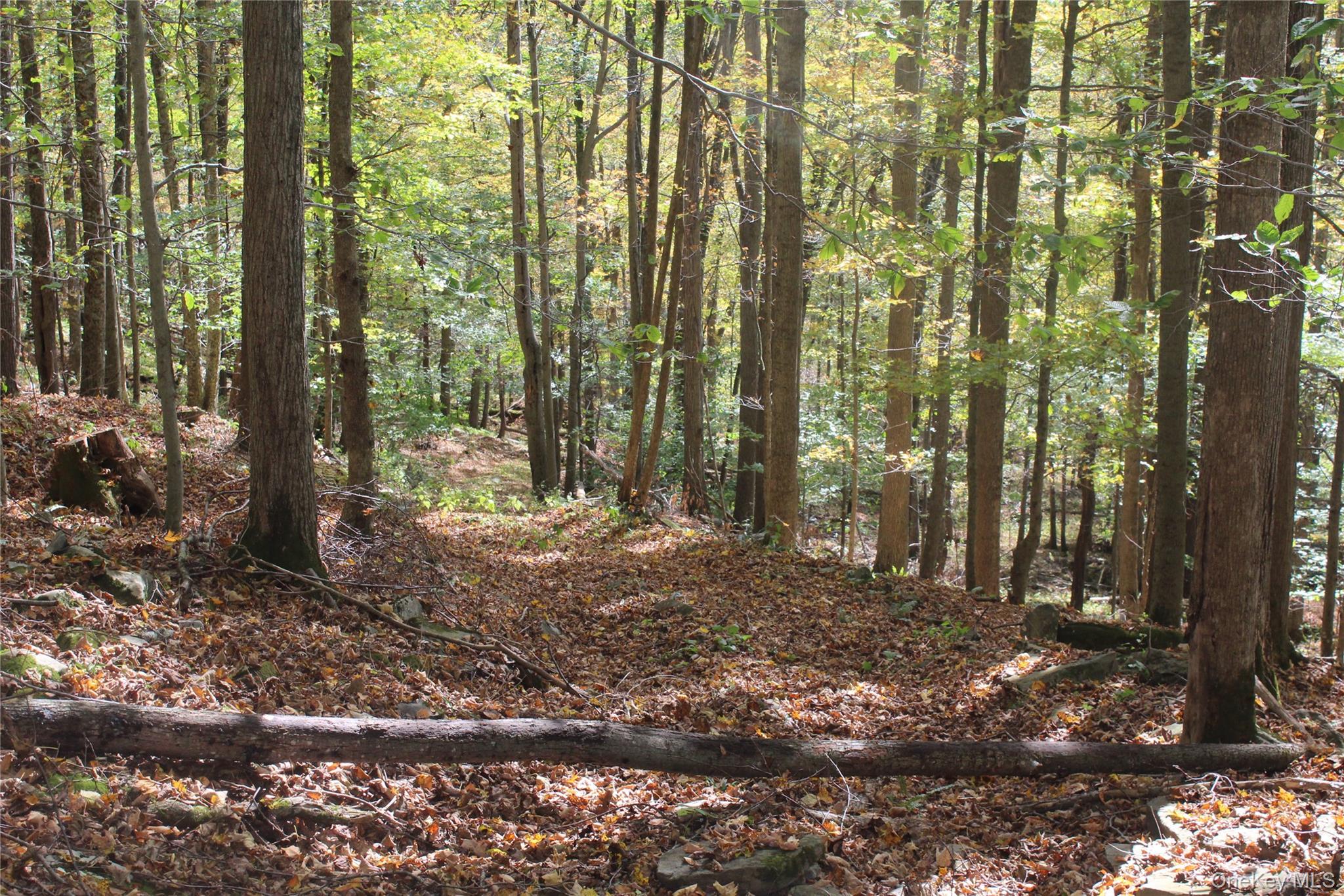 Peakville Road, Roscoe, NY 13783