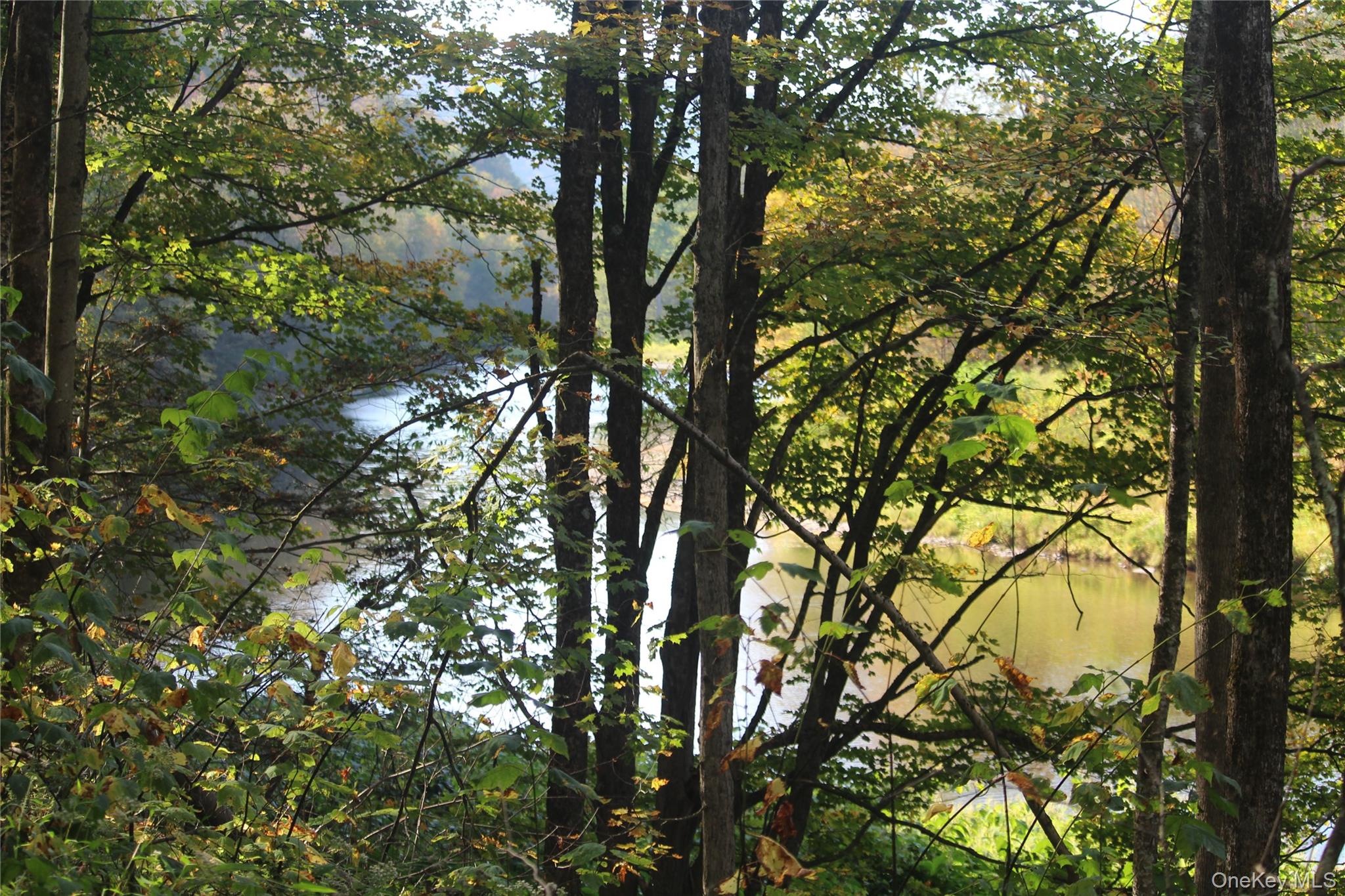 Peakville Road, Roscoe, NY 13783