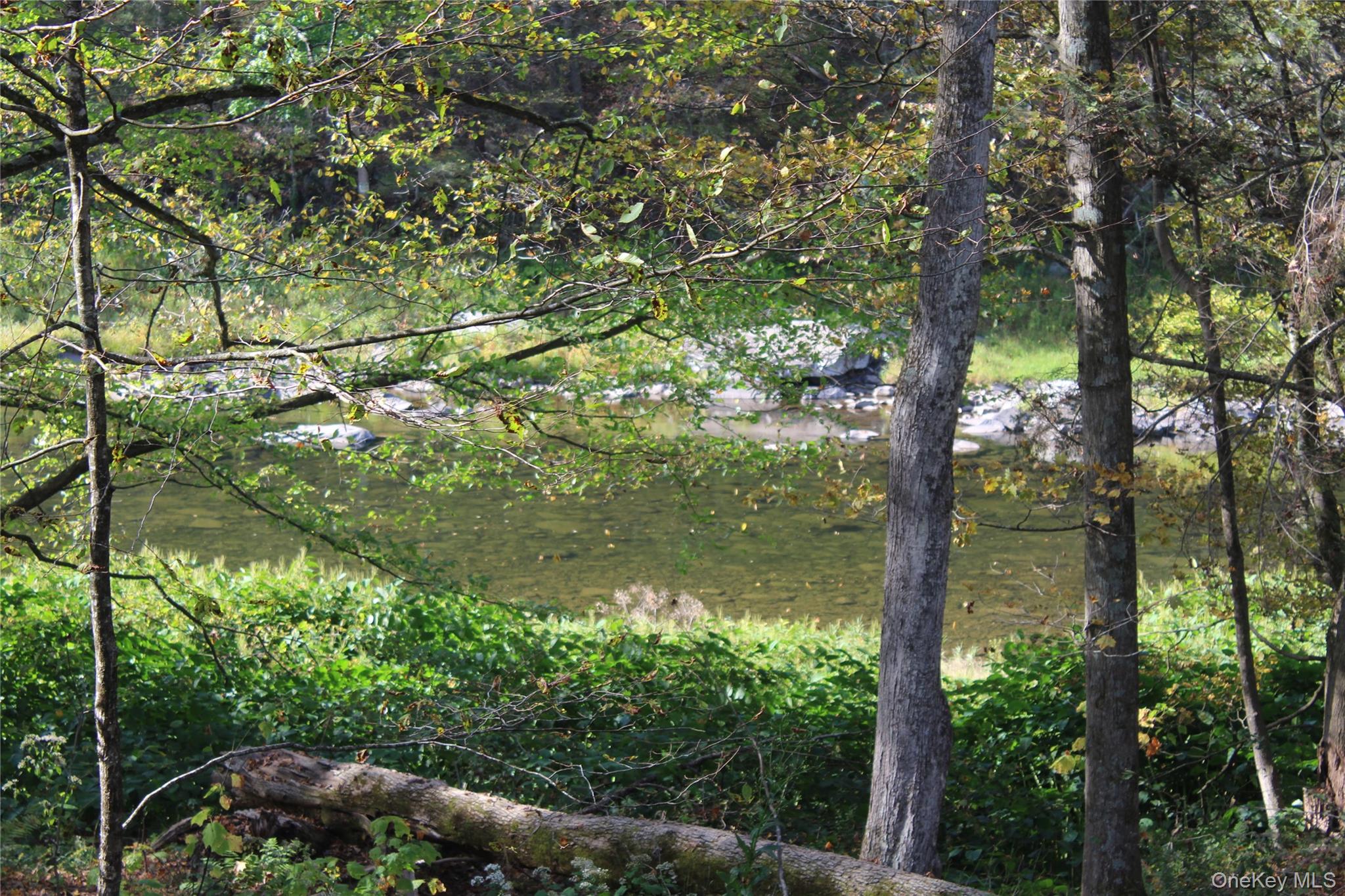 Peakville Road, Roscoe, NY 13783