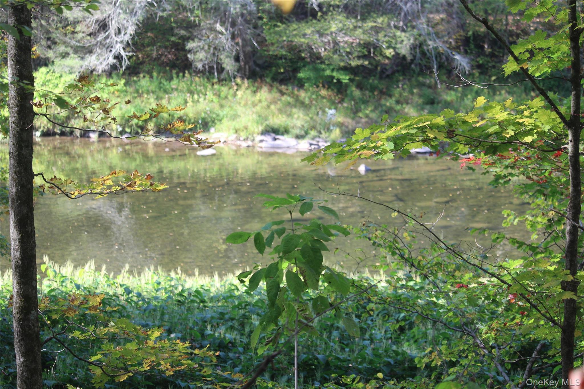 Peakville Road, Roscoe, NY 13783