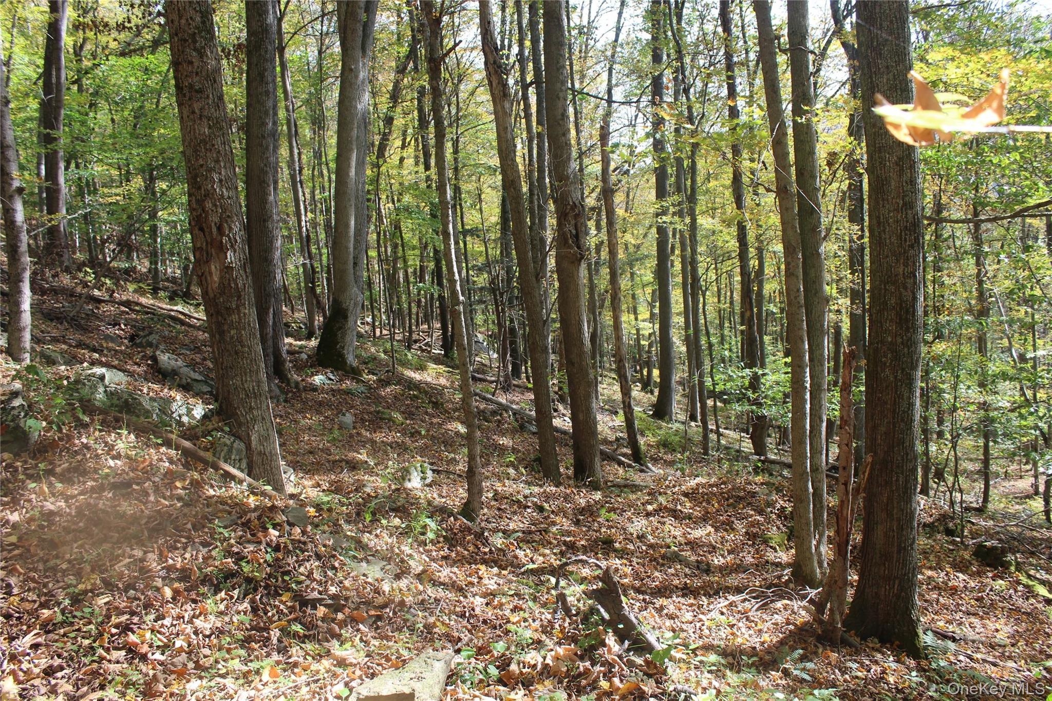 Peakville Road, Roscoe, NY 13783