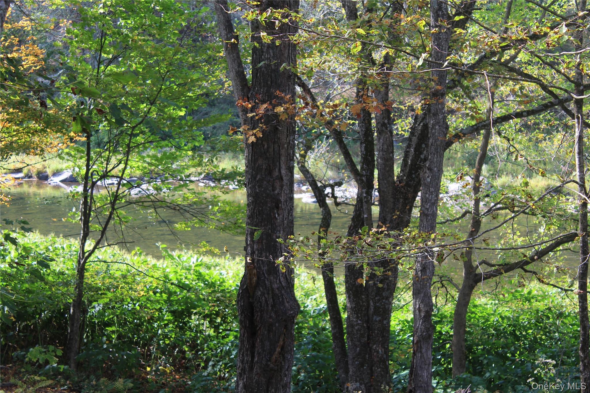 Peakville Road, Roscoe, NY 13783