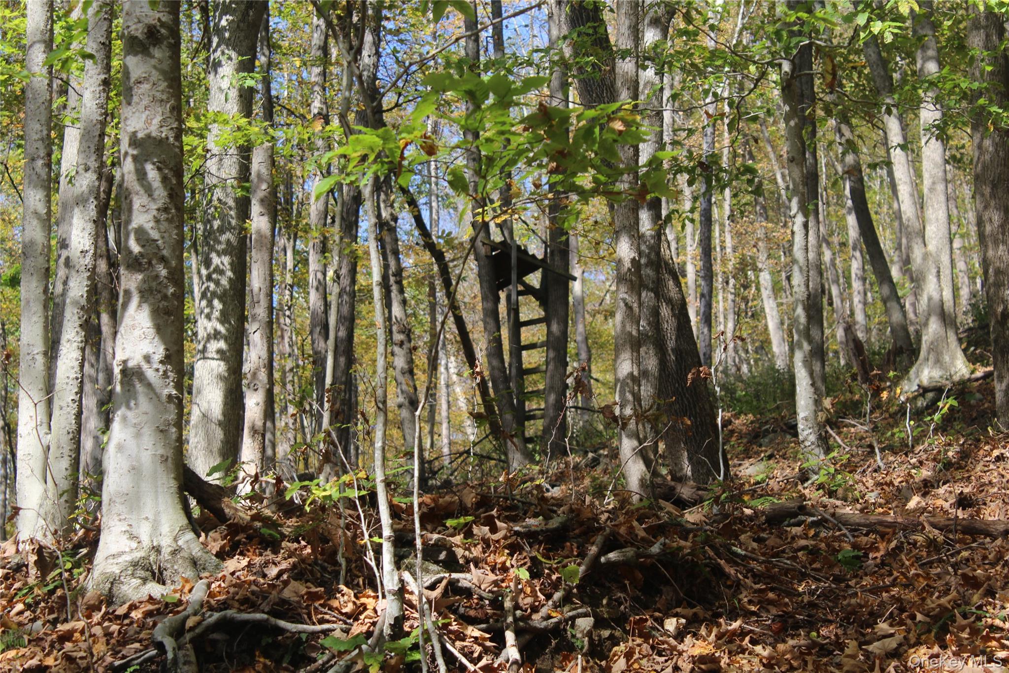 Peakville Road, Roscoe, NY 13783