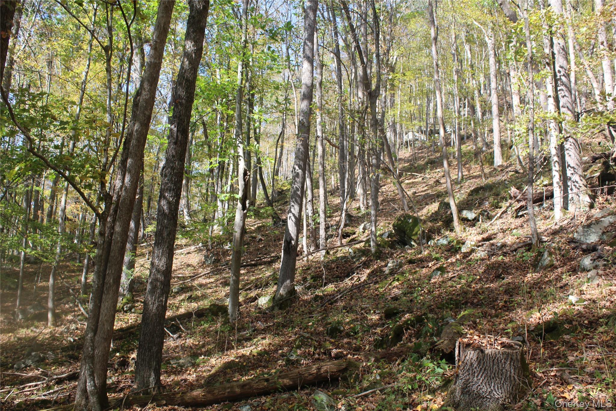 Peakville Road, Roscoe, NY 13783