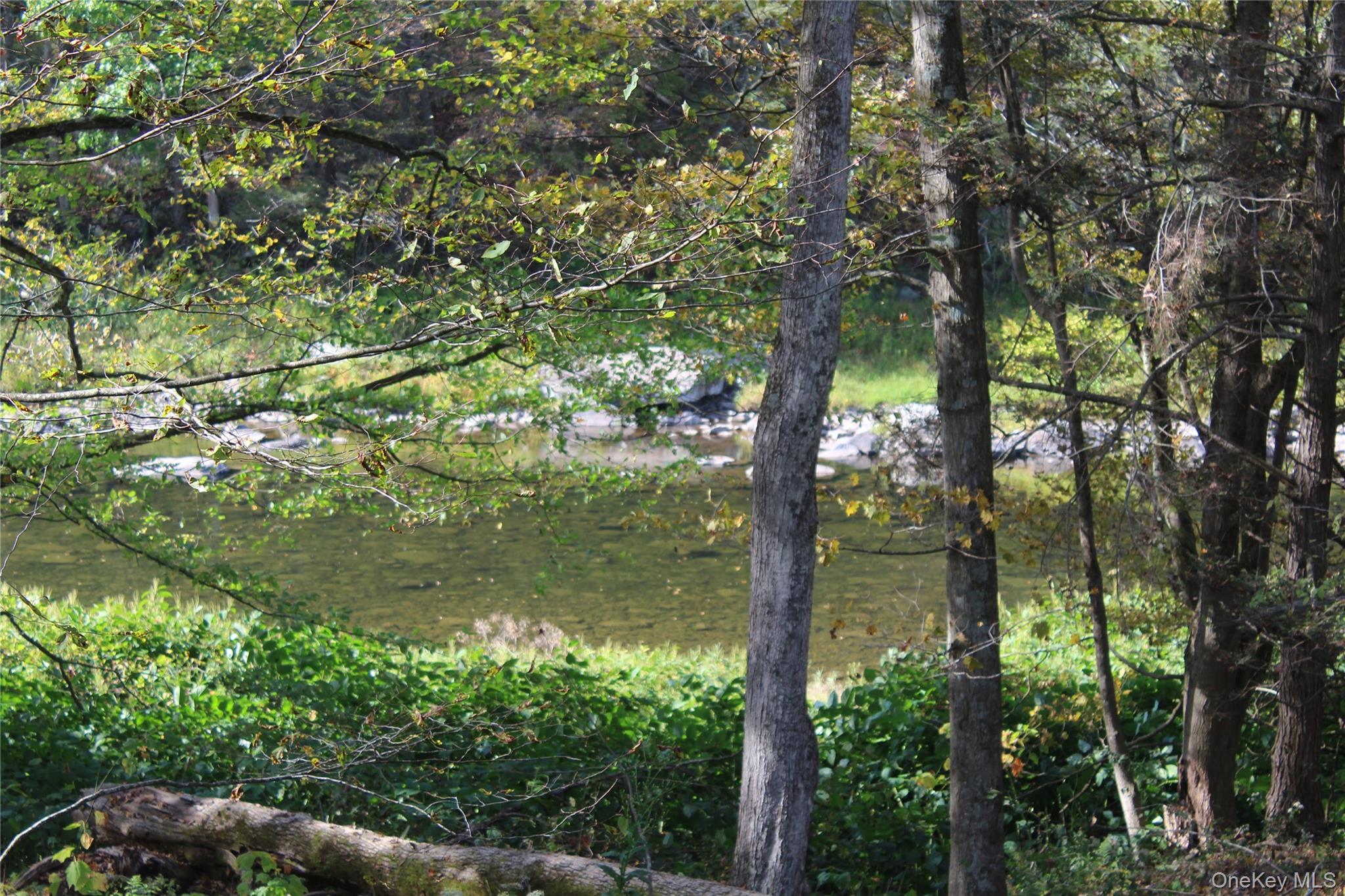 Peakville Road, Roscoe, NY 13783