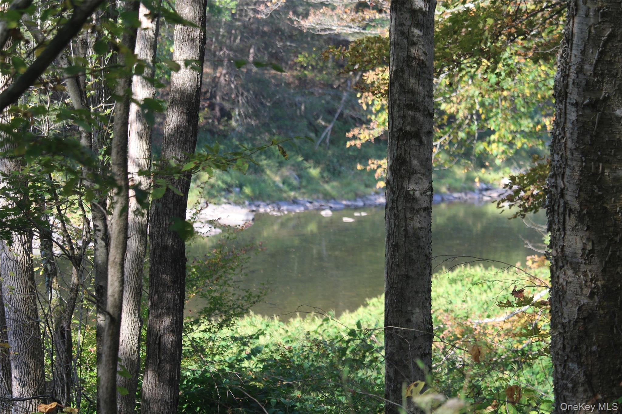 Peakville Road, Roscoe, NY 13783