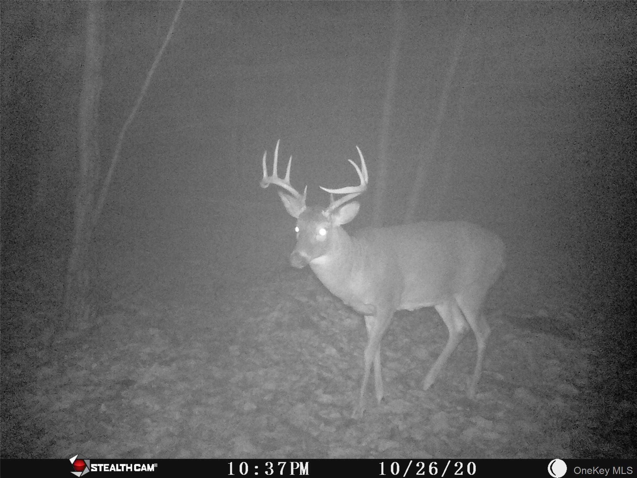 Peakville Road, Roscoe, NY 13783