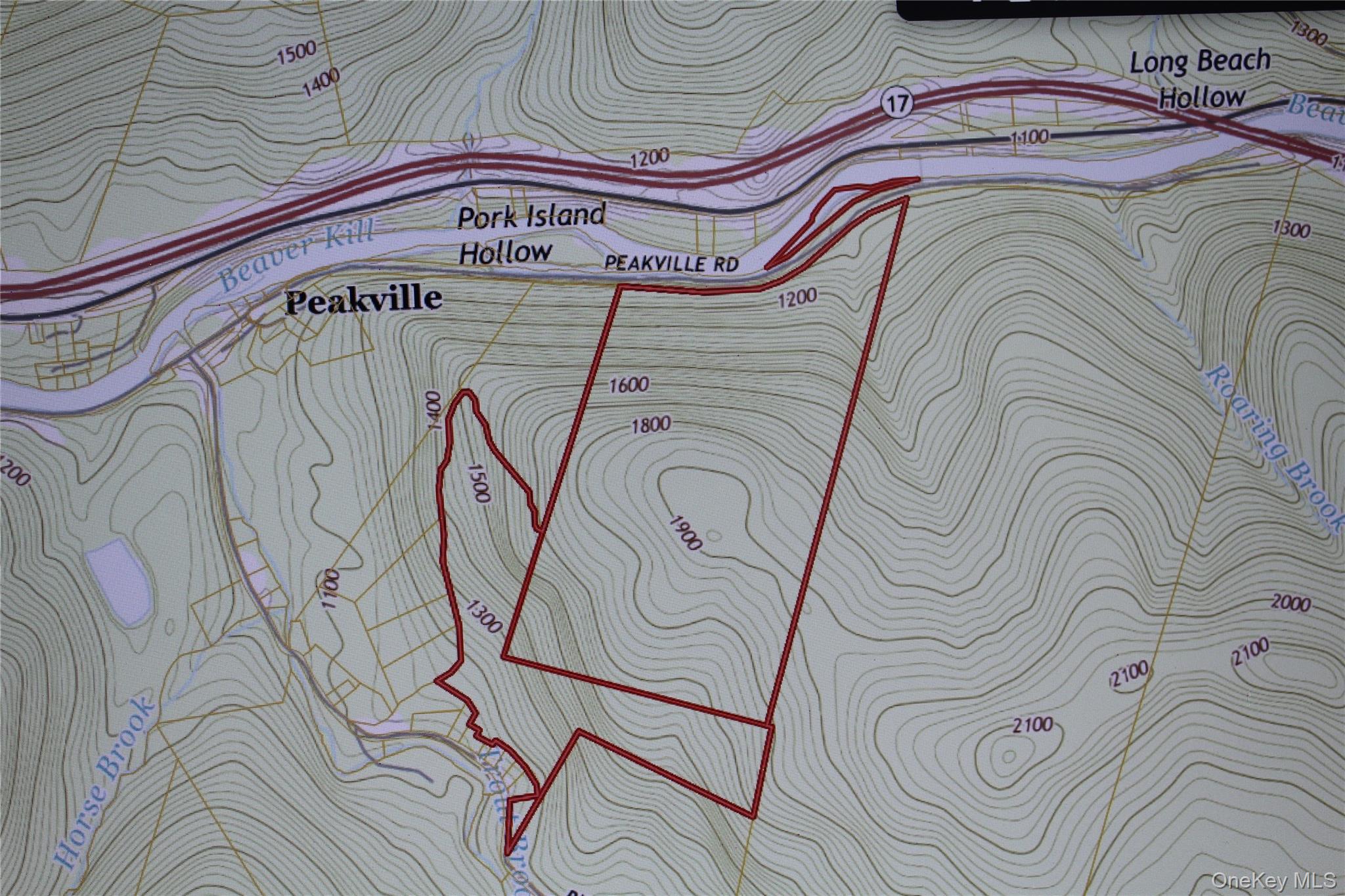 Peakville Road, Roscoe, NY 13783