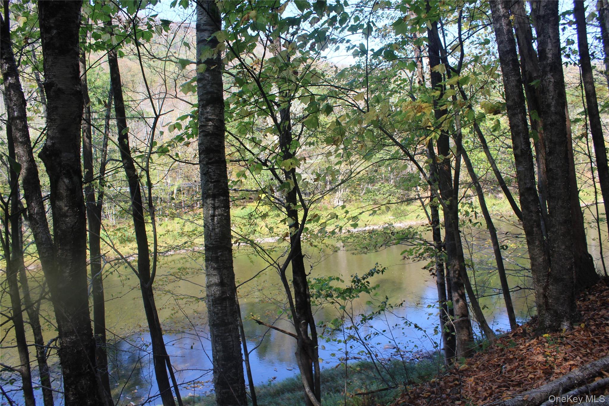 Peakville Road, Roscoe, NY 13783