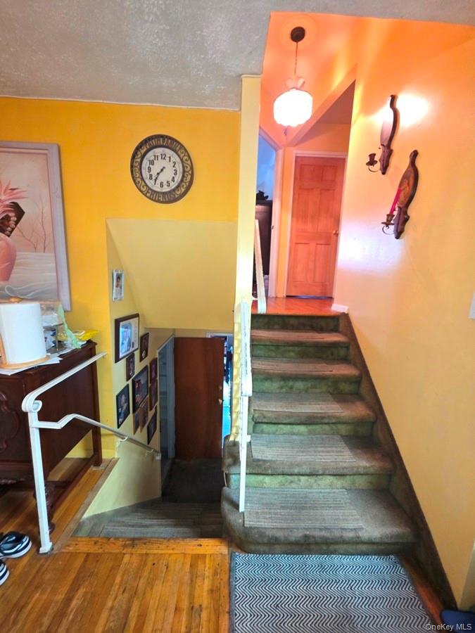 9505 Schenck Street, Brooklyn, NY 11236