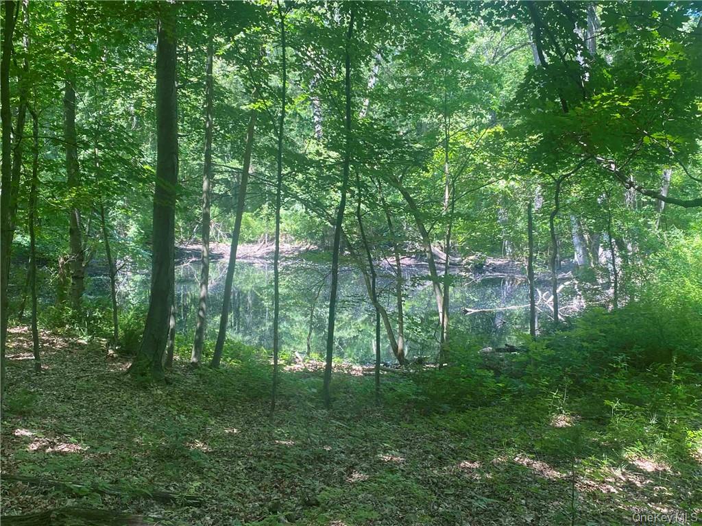 234 W MARKET Street, Red Hook, NY 12571