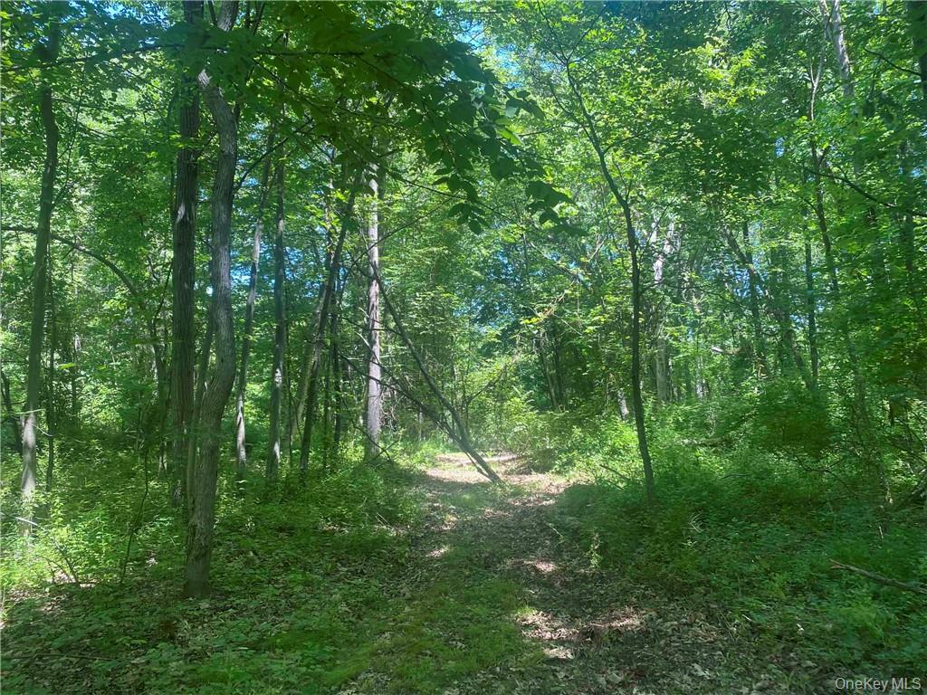 234 W MARKET Street, Red Hook, NY 12571