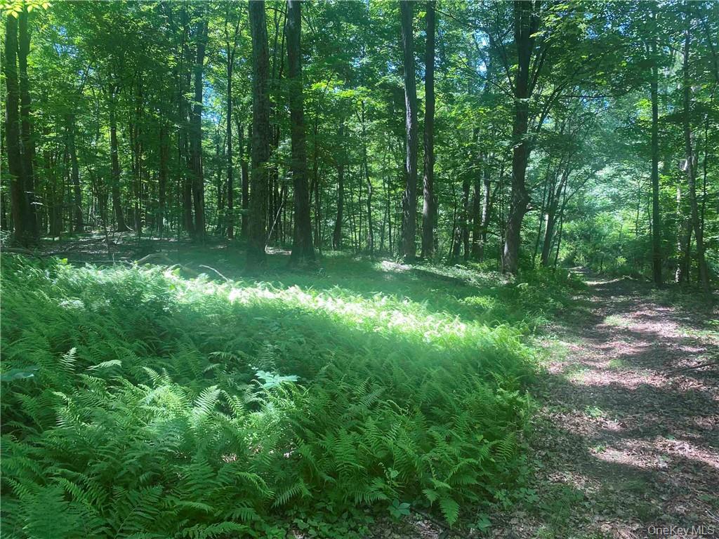 234 W MARKET Street, Red Hook, NY 12571