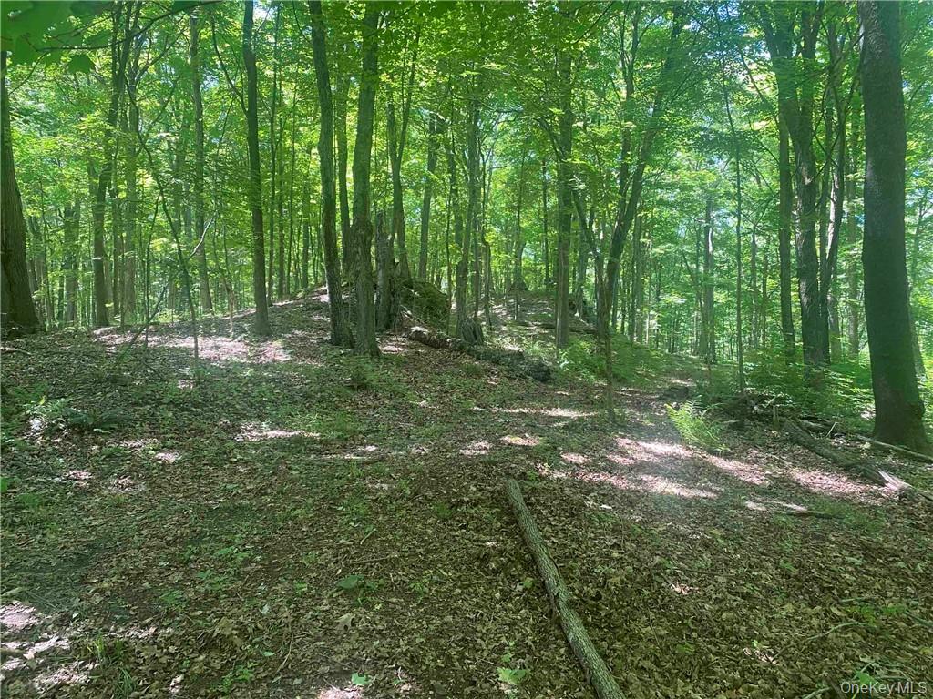 234 W MARKET Street, Red Hook, NY 12571