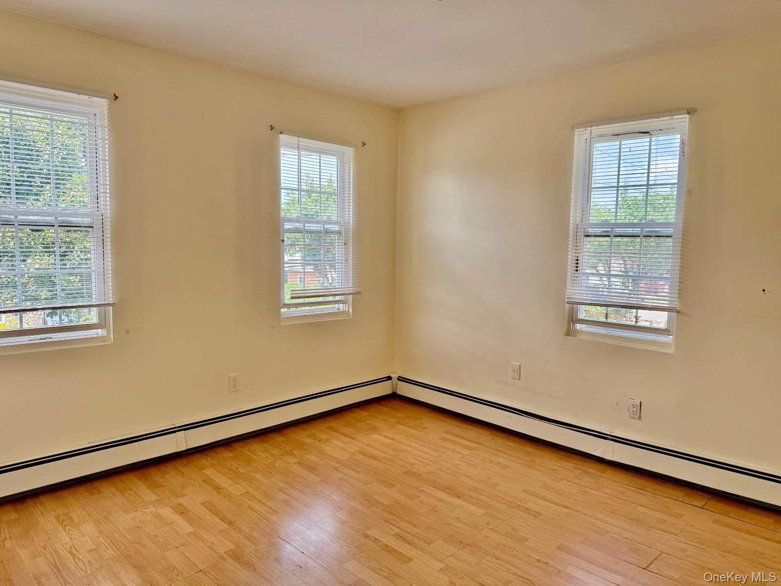 223 Jackson Avenue, Mineola, NY 11501