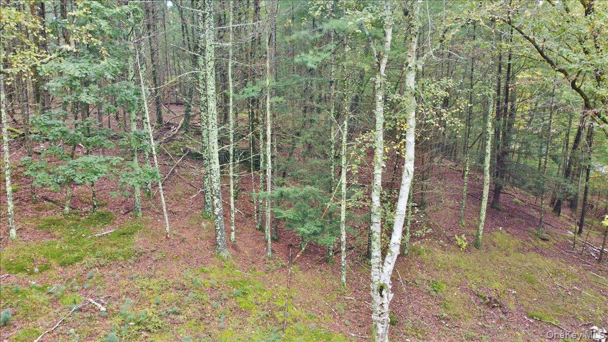 826 Buck Road, Stone Ridge, NY 12484