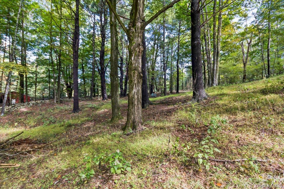 826 Buck Road, Stone Ridge, NY 12484