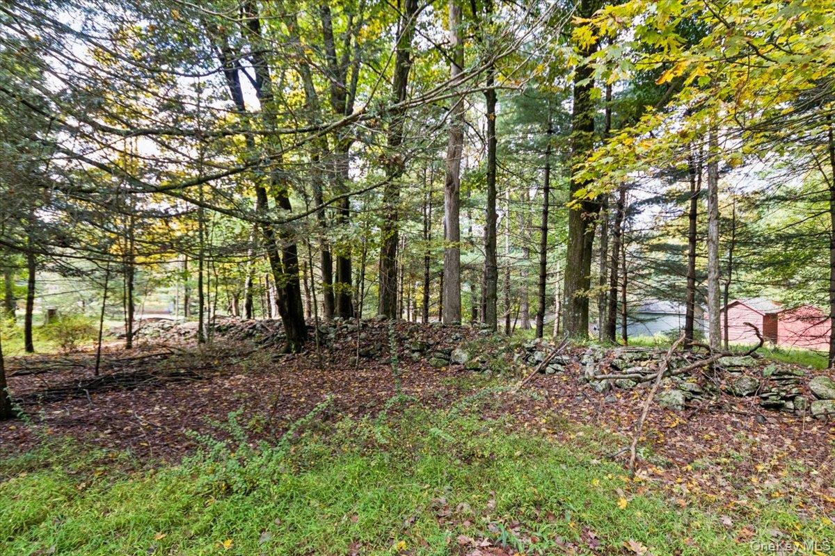 826 Buck Road, Stone Ridge, NY 12484