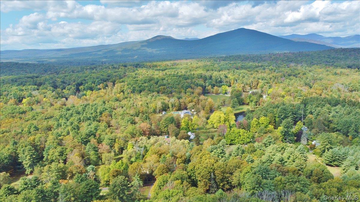 826 Buck Road, Stone Ridge, NY 12484