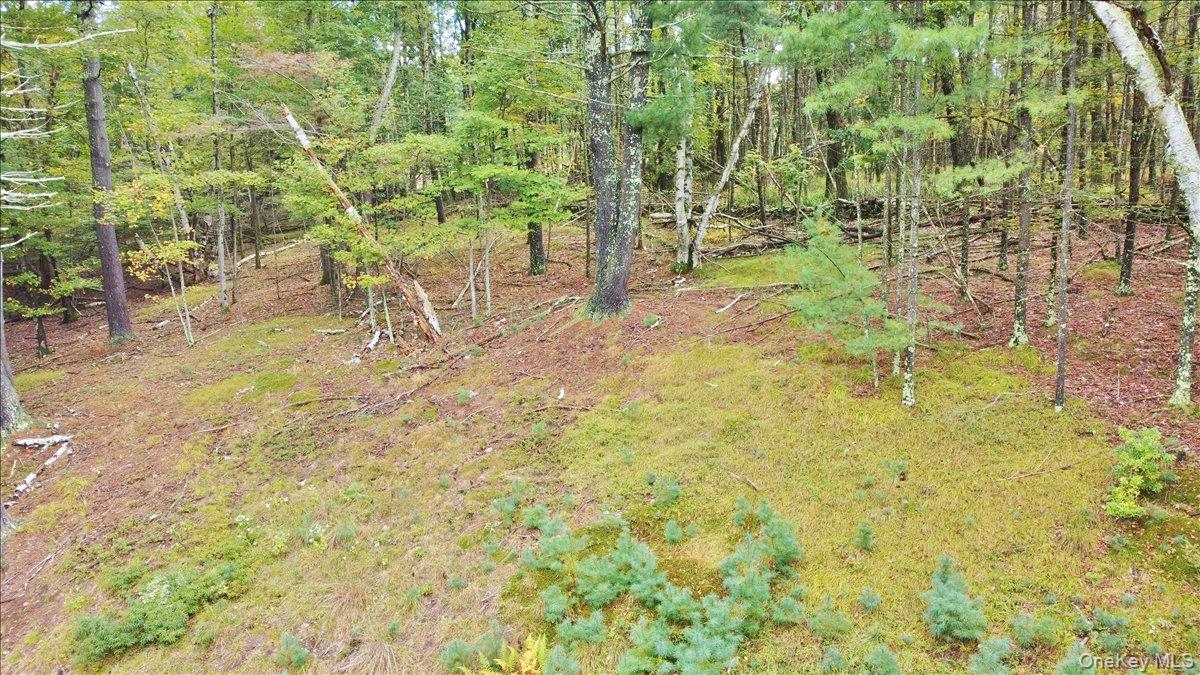 826 Buck Road, Stone Ridge, NY 12484