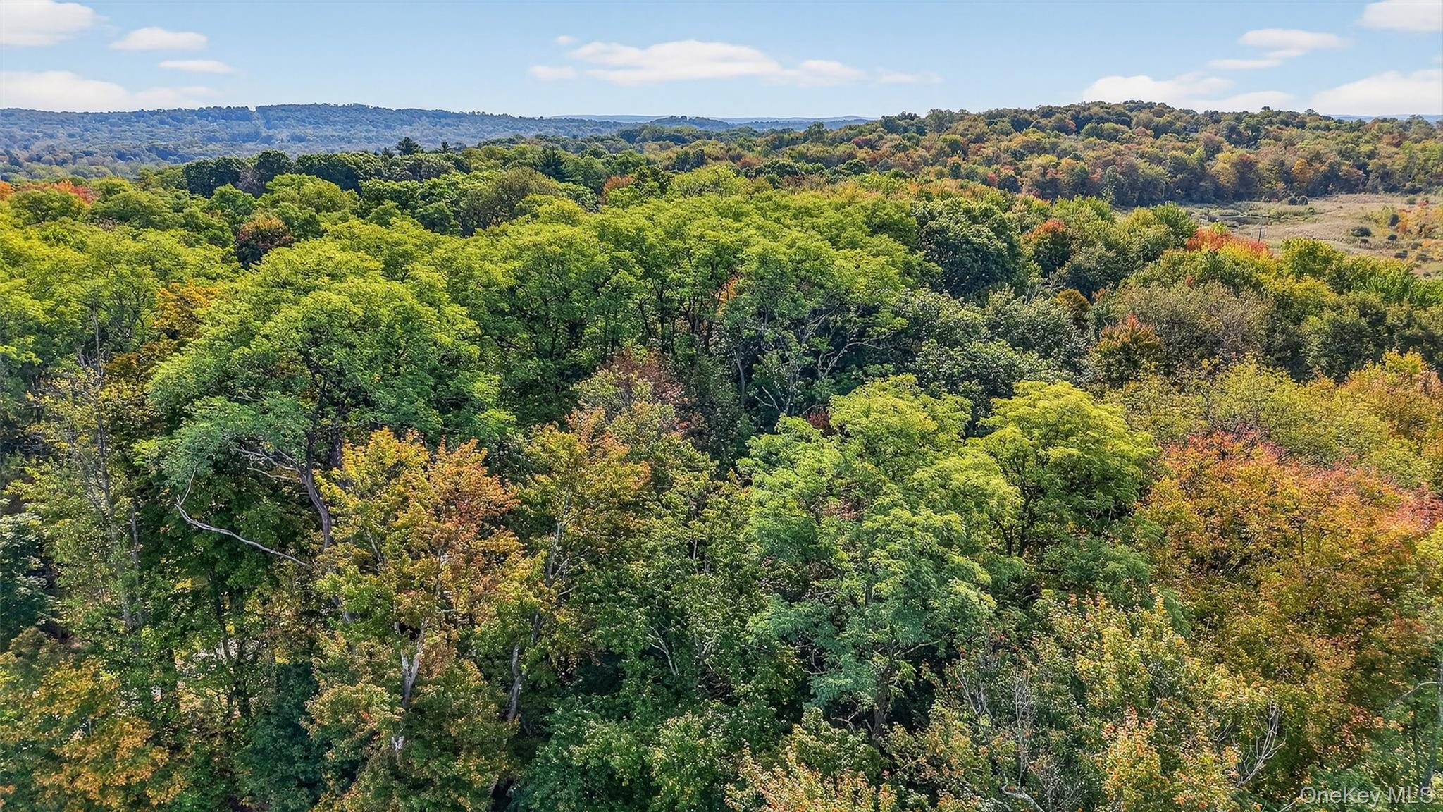 7 Anna Lane, Mahopac, NY 10541