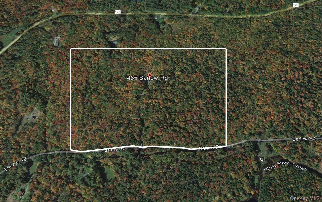 465 Barlow Road, Call Listing Agent, NY 12078