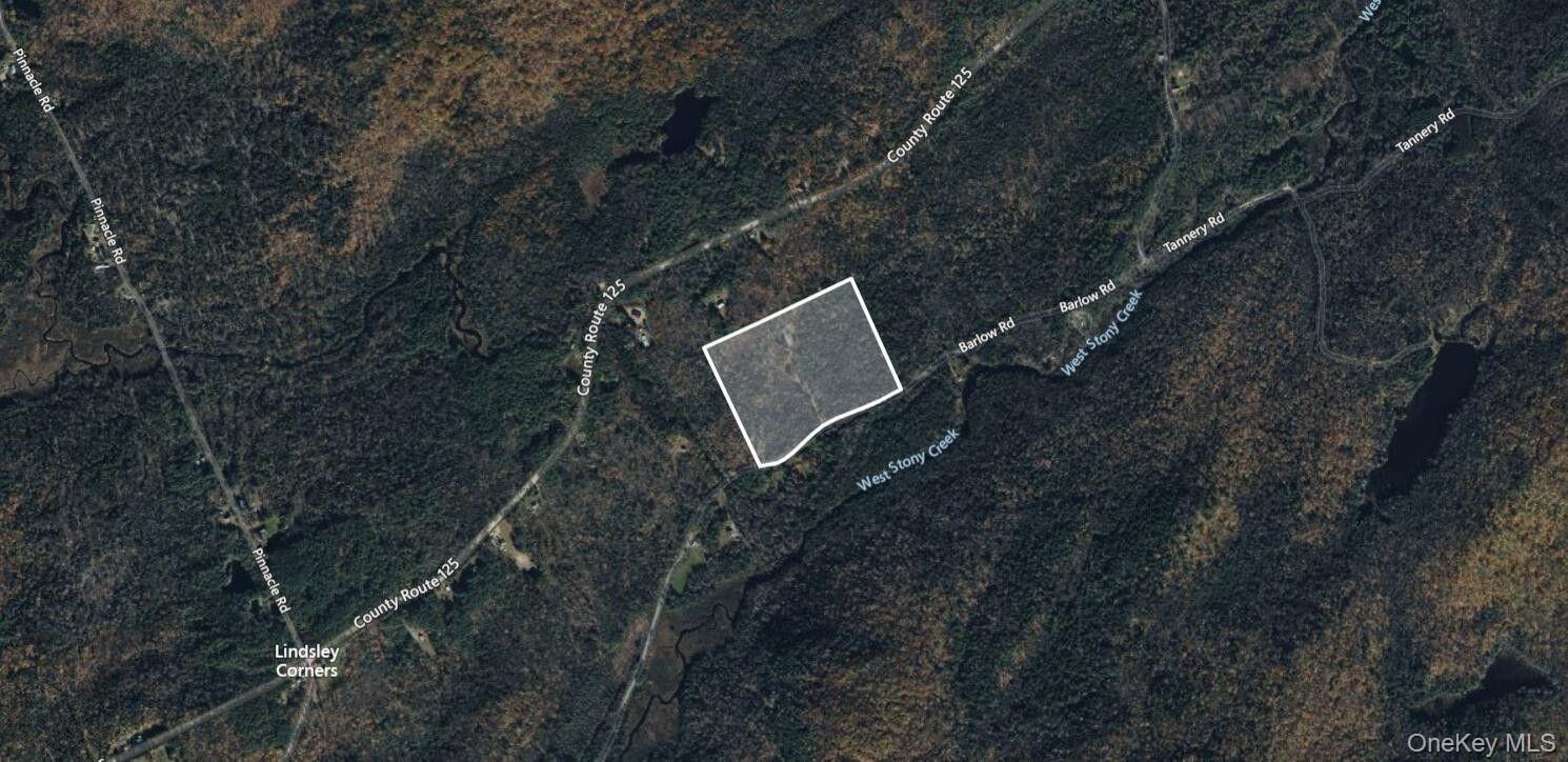 465 Barlow Road, Call Listing Agent, NY 12078