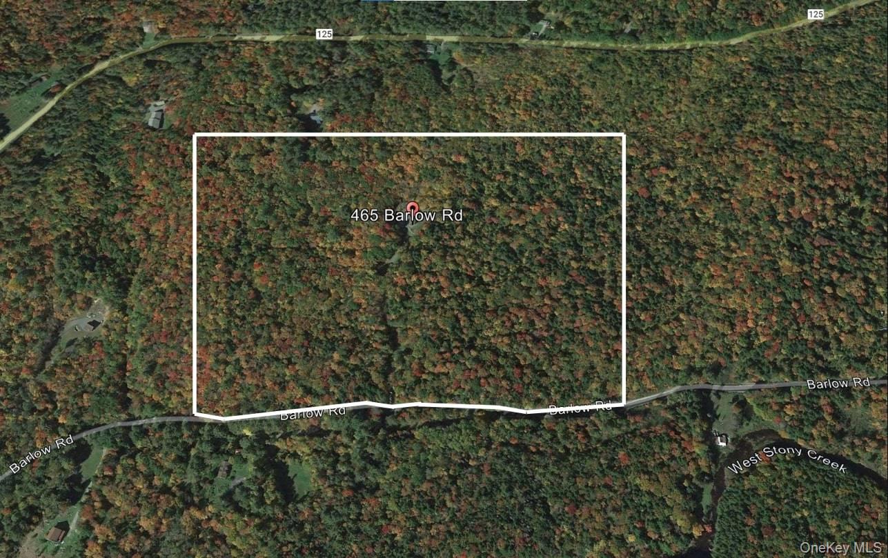 465 Barlow Road, Call Listing Agent, NY 12078