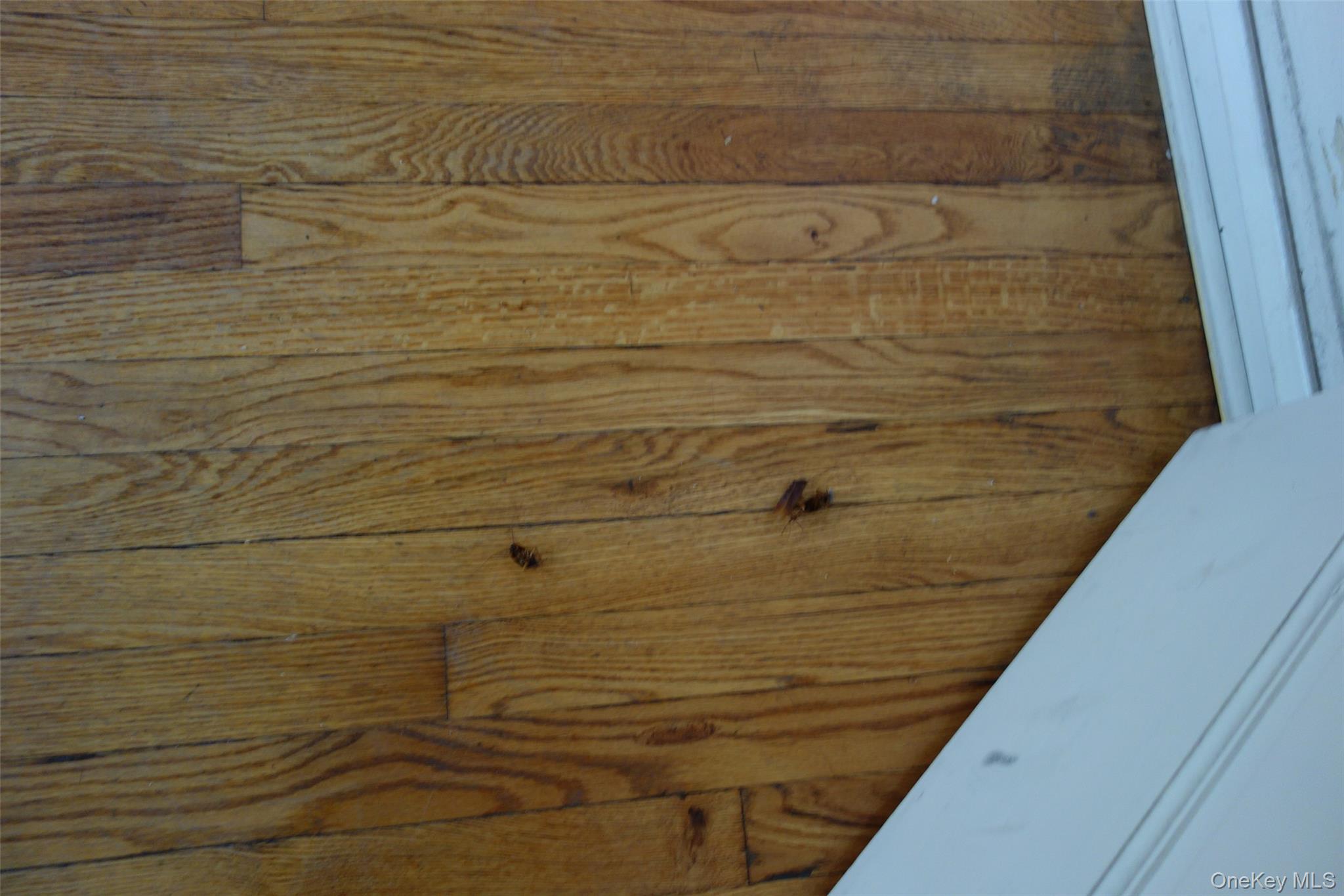 9238 Queens Boulevard # Str6, Rego Park, NY 11374