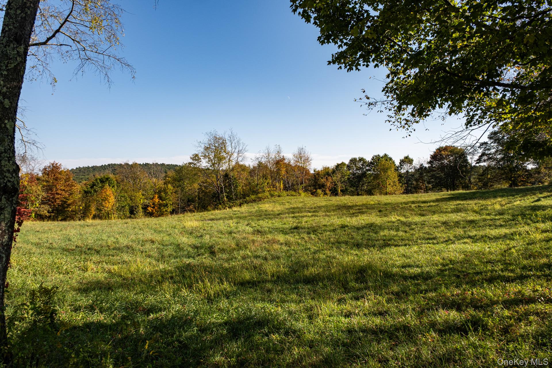 102 Melius Road, Call Listing Agent, CT 06754-1503