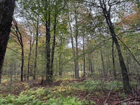 Little Ireland Road, Livingston Manor, NY 12758