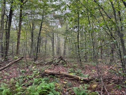 Little Ireland Road, Livingston Manor, NY 12758