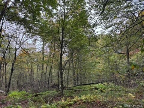 Little Ireland Road, Livingston Manor, NY 12758