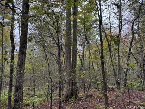 Little Ireland Road, Livingston Manor, NY 12758